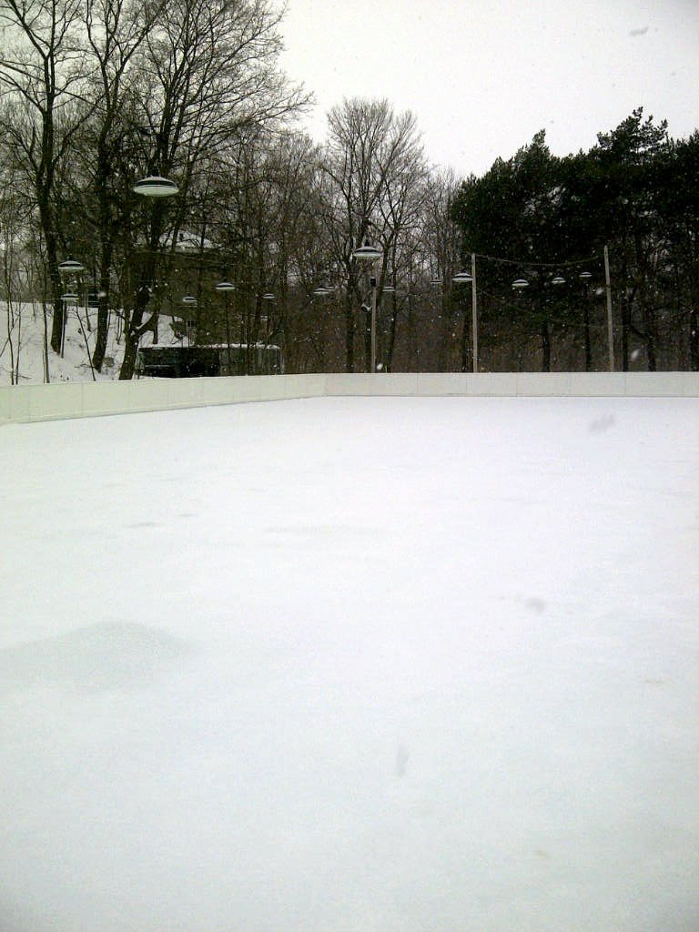 Skating Rink Liners